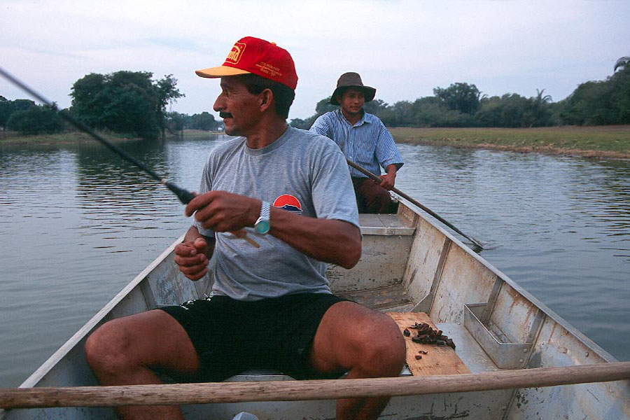 Fishing for piranha